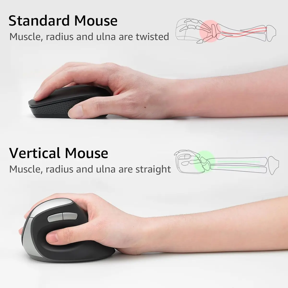 RAPOO EV250 Silent Wireless optical mouse  Black