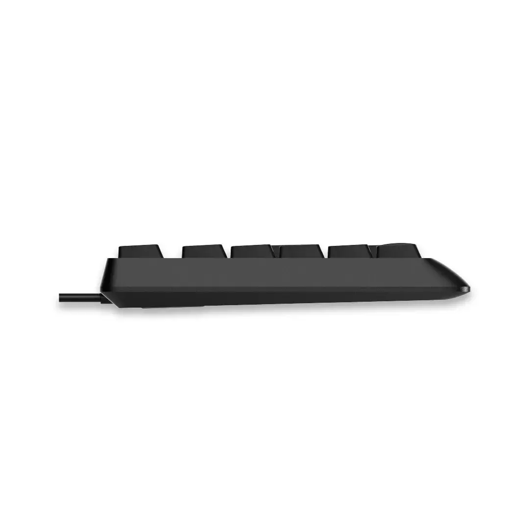 RAPOO NK1900 Wired Keyboard  US_Black